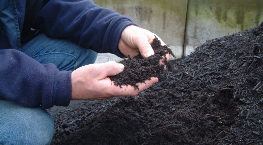 Use compost to increase resistance to plant diseases