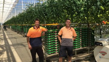 Australian marketing success supported by Dutch cultivation know-how