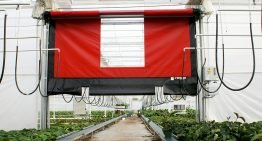 Regular control and maintenance of doors necessary