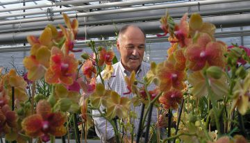 Understanding photosynthesis important for CO2 dosing and lighting