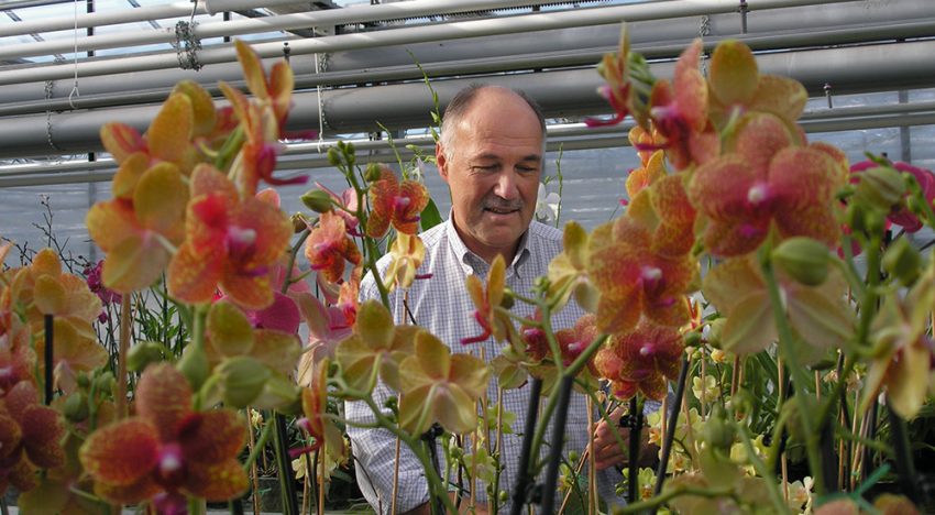 Understanding photosynthesis important for CO2 dosing and lighting