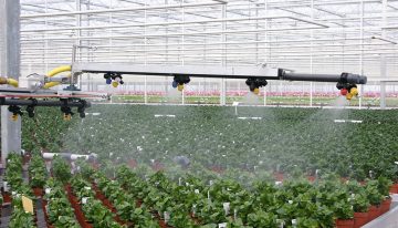 Optimal application of crop protection products depends on crop, pest and area