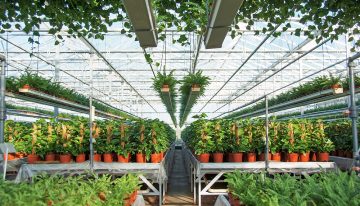 A stable pH in the pot requires knowledge and craftsmanship