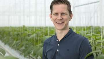 To light or not to light – that is the question