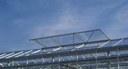 Smart CO2 dosing by listening to the plant