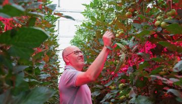 ‘Switch to LED-interlighting requires new way of growing’