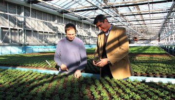 Growing pot plant market gives Turkish-Danish joint venture a head start