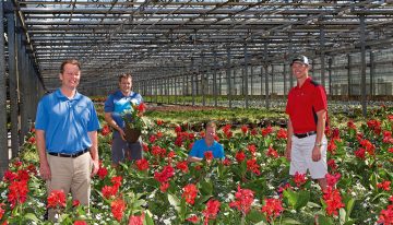 Innovation and big data analysis key to four decades of growth