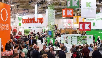 Economic growth, more digitalisation but uncertainty about Brexit