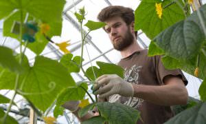 Paul Jeannet, bedrijfsleider van UrbanFarmers in Den Haag