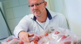 Quick and detailed information on a plant’s mineral uptake