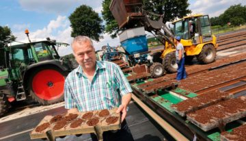 Adding bio to substrate reduces chemical use in strawberries