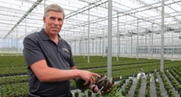 ‘Use of analysis of sales and costing data basis for future decisions’