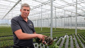 ‘Use of analysis of sales and costing data basis for future decisions’