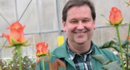 German rose grower chooses market development over expansion
