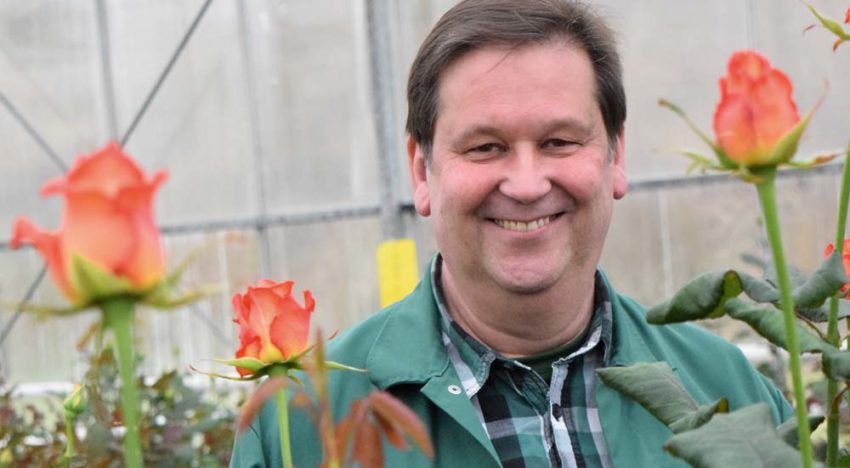 German rose grower chooses market development over expansion
