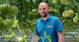 Water system contamination tackled with polyphosphates and biocide