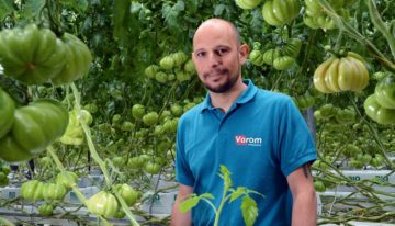 Water system contamination tackled with polyphosphates and biocide