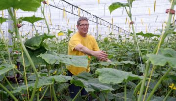 Cucumber grower takes quantum leap with Next Generation Growing