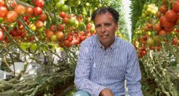 ‘Interlighting boosts truss development and flowering speed’