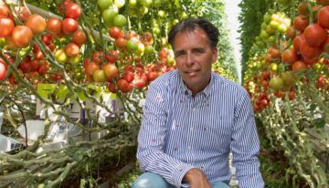 ‘Interlighting boosts truss development and flowering speed’