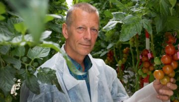 Avoiding moisture shocks best remedy for preventing tip burn