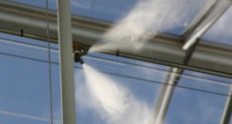 Transpiration is driver behind cooling and uptake and transport of nutrients