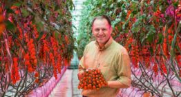 ‘LED is greatest horticultural innovation since the invention of the tractor’