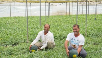 The Spanish government’s sustainability ambitions are a challenge for the future