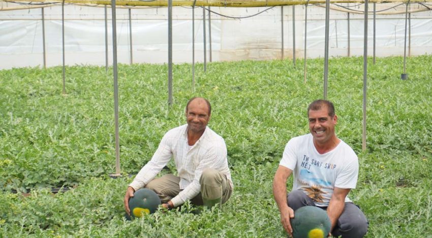 The Spanish government’s sustainability ambitions are a challenge for the future