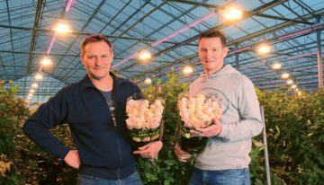 Higher light level boosts yields, lost heat easy to make up for