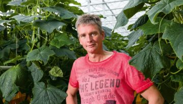 Small core cucumber project calls for intensive collaboration