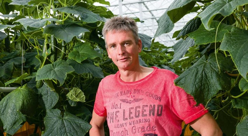 Small core cucumber project calls for intensive collaboration