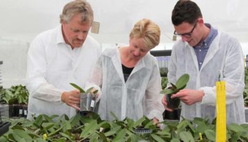 Tailoring fertilisation for pot- and soil-grown crops gets easier