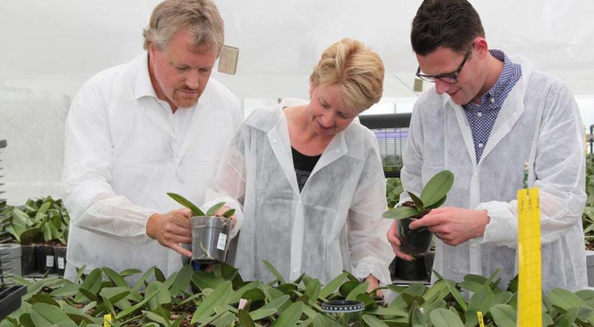 Tailoring fertilisation for pot- and soil-grown crops gets easier