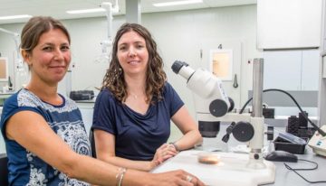 Controlling hyperparasites: on the trail of the best scents