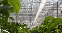 ‘The multitude of solutions is too complex and hinders exchange of knowledge’