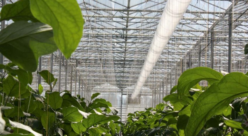 ‘The multitude of solutions is too complex and hinders exchange of knowledge’