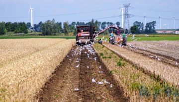 Dutch agricultural industry smallest ecological footprint in the world
