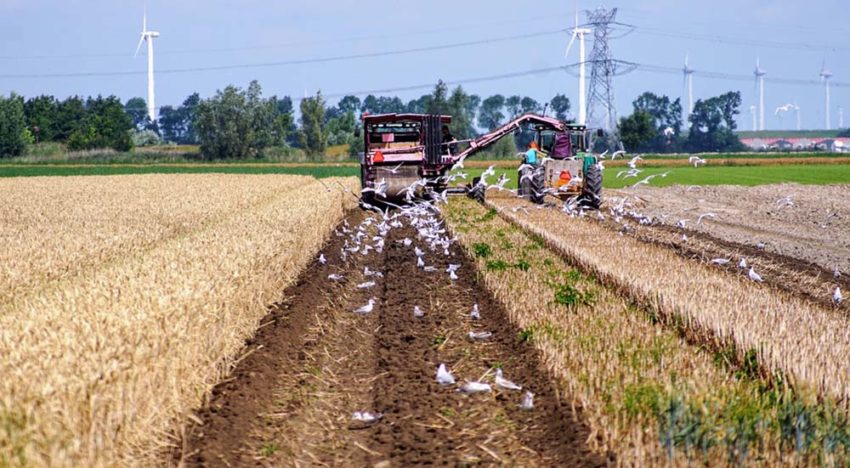 Dutch agricultural industry smallest ecological footprint in the world
