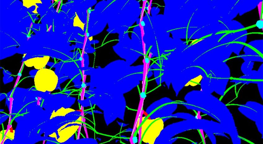 Artificial 3D pepper model for harvesting robot