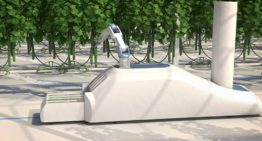 Crux Agribotics develops cucumber robot with machine learning