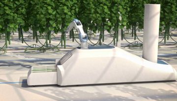 Crux Agribotics develops cucumber robot with machine learning