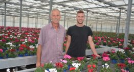 New sales concepts give German pot plant growers strong market foothold