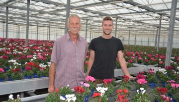 New sales concepts give German pot plant growers strong market foothold