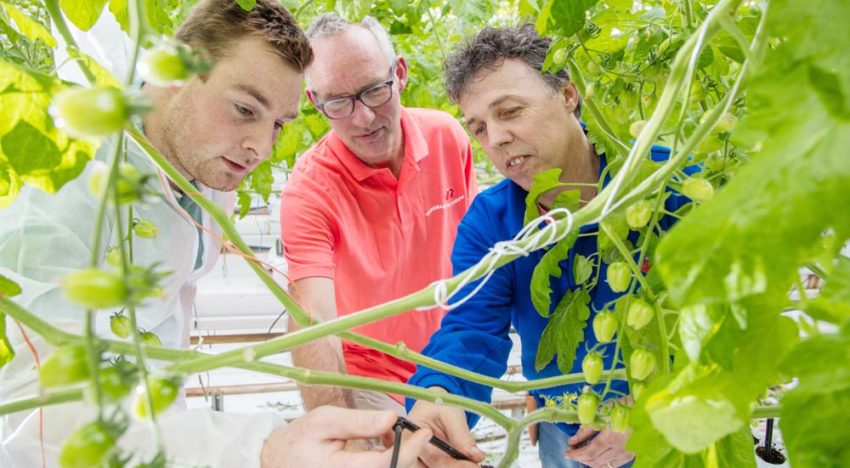Stabilised hydrogen peroxide cleans pipes efficiently and gently
