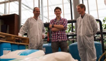 Well-balanced root environment ensures good nutrient uptake