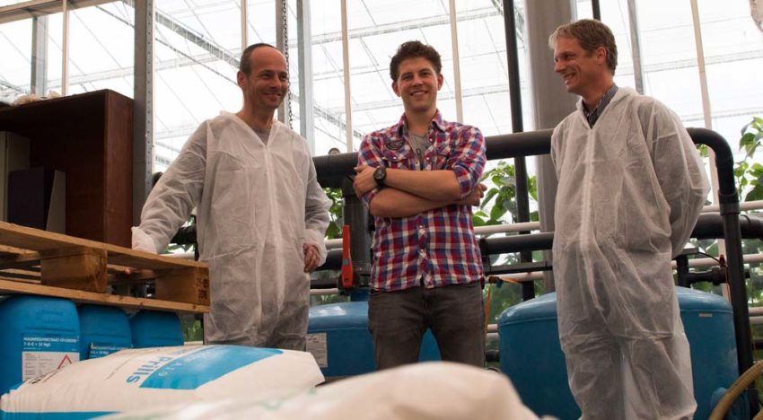 Well-balanced root environment ensures good nutrient uptake