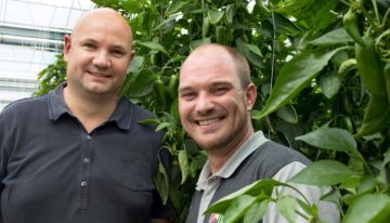 ‘Before the problem starts, build up a vigorous predator population’