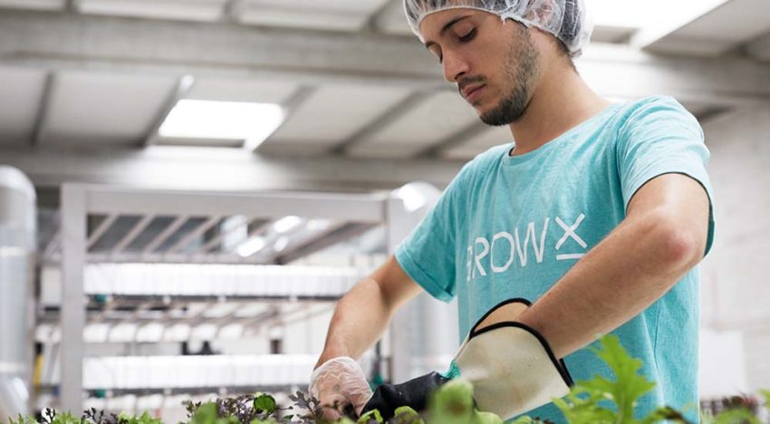 First high-tech vertical farm officially opened in Amsterdam First high-tech vertical farm officially opened in Amsterdam